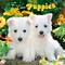 BrownTrout; I Love Puppies | 2027 12 x 24 Inch (Hanging) Monthly Square Wall Calendar | Plastic-Free; Category:Wall Calendars; Image:2
